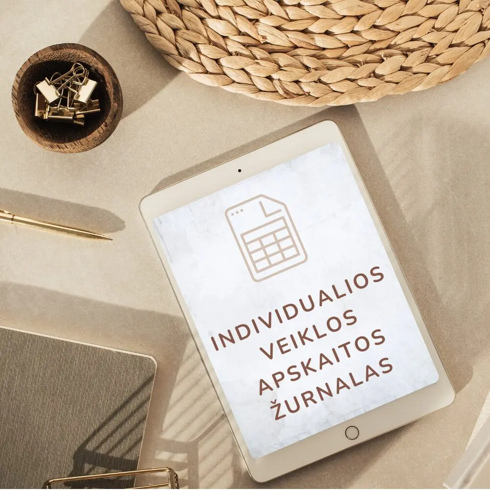 Individualios veiklos apskaitos žurnalas – Excel